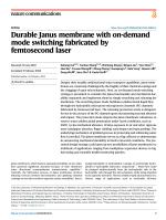Durable Janus membrane with on-demand mode switching fabricated by femtosecond laser