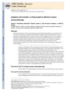Adoptive cell transfer: a clinical path to effective cancer immunotherapy