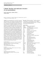 Cellular function and molecular structure of ecto-nucleotidases