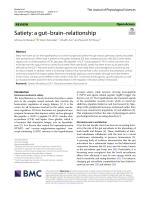 Satiety: a gut–brain–relationship