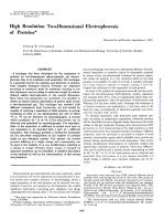 High Resolution Two-Dimensional Electrophoresis of Proteins