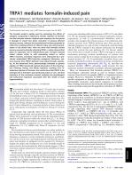 TRPA1 mediates formalin-induced pain