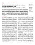 Bionic visual-audio photodetectors with in-sensor perception and preprocessing