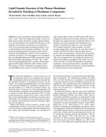 Lipid Domain Structure of the Plasma Membrane Revealed by Patching of Membrane Components