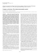 Caspase activation: The induced-proximity model