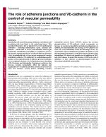 The role of adherens junctions and VE-cadherin in the control of vascular permeability