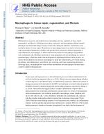Macrophages in tissue repair, regeneration, and fibrosis