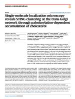 Single-molecule localization microscopy reveals STING clustering at the trans-Golgi network through palmitoylation-dependent accumulation of cholesterol