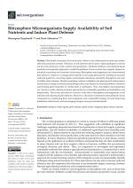 Rhizosphere Microorganisms Supply Availability of Soil Nutrients and Induce Plant Defense