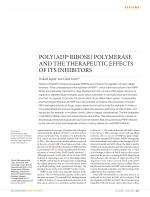 POLY(ADP-RIBOSE) POLYMERASE AND THE THERAPEUTIC EFFECTS OF ITS INHIBITORS
