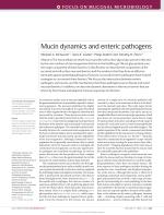 Mucin dynamics and enteric pathogens