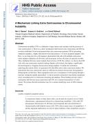 A Mechanism Linking Extra Centrosomes to Chromosomal Instability