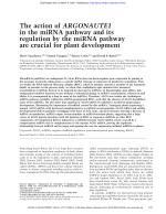 The action of ARGONAUTE1 in the miRNA pathway and its regulation by the miRNA pathway are crucial for plant development