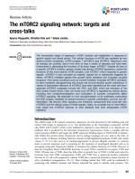 The mTORC2 signaling network: targets and cross-talks