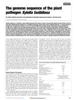 The genome sequence of the plant pathogen Xylella fastidiosa