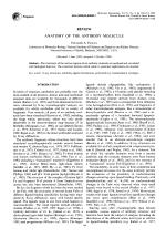 REVIEW ANATOMY OF THE ANTIBODY MOLECULE