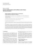 Chronic Inflammation and Cytokines in the Tumor Microenvironment