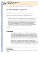 COLLAGEN STRUCTURE AND STABILITY