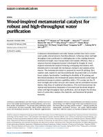 Wood-inspired metamaterial catalyst for robust and high-throughput water purification