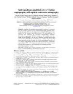 Split-spectrum amplitude-decorrelation angiography with optical coherence tomography