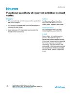 Functional specificity of recurrent inhibition in visual cortex