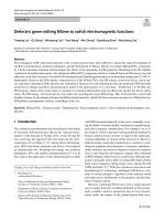 Dielectric genes editing MXene to switch electromagnetic functions