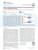 Influence of Physicochemical Properties of Iron Oxide Nanoparticles on Their Antibacterial Activity