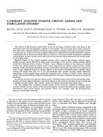 A PRIMARY ACOUSTIC STARTLE CIRCUIT: LESION AND STIMULATION STUDIES