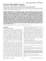 Human MicroRNA Targets