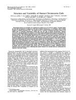 Structure and Variability of Human Chromosome Ends