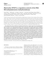 Mammalian WTAP is a regulatory subunit of the RNA N6-methyladenosine methyltransferase