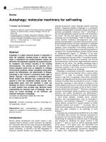 Autophagy: molecular machinery for self-eating