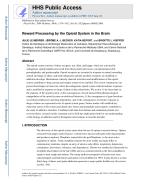 Reward Processing by the Opioid System in the Brain