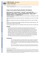 Origin of the Lamina Propria Dendritic Cell Network
