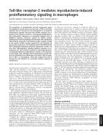 Toll-like receptor-2 mediates mycobacteria-induced proinflammatory signaling in macrophages