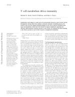 T cell metabolism drives immunity