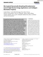 Bio-Inspired Dynamically Morphing Microelectronics toward High-Density Energy Applications and Intelligent Biomedical Implants