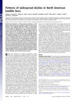 Patterns of widespread decline in North American bumble bees