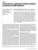 Transcription-replication conflicts underlie sensitivity to PARP inhibitors