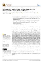 Fundamentals, Operation and Global Prospects for the Development of Biogas Plants—A Review