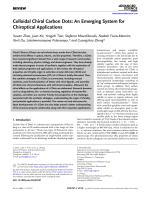 Colloidal Chiral Carbon Dots: An Emerging System for Chiroptical Applications