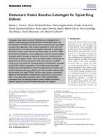 Elastomeric Protein Bioactive Eutectogels for Topical Drug Delivery