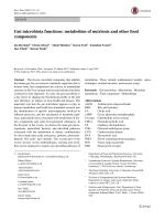 Gut microbiota functions: metabolism of nutrients and other food components
