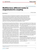 Multiferroics: different routes to magnetoelectric coupling