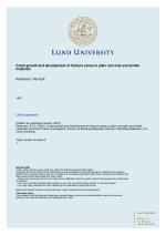 Crack growth and development of fracture zones in plain concrete and similar materials