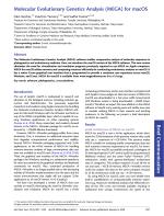 Molecular Evolutionary Genetics Analysis (MEGA) for macOS