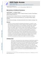 Mechanisms of Antibiotic Resistance