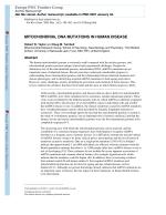 MITOCHONDRIAL DNA MUTATIONS IN HUMAN DISEASE