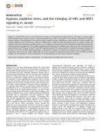 Hypoxia, oxidative stress, and the interplay of HIFs and NRF2 signaling in cancer