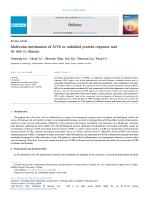 Molecular mechanism of ATF6 in unfolded protein response and its role in disease